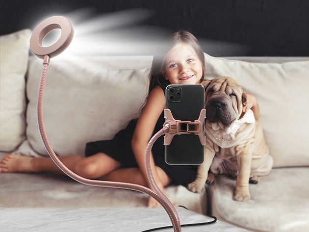 U-STREAM Home Streaming Studio with Ring Light & Gooseneck Phone Holder (Rose Gold)