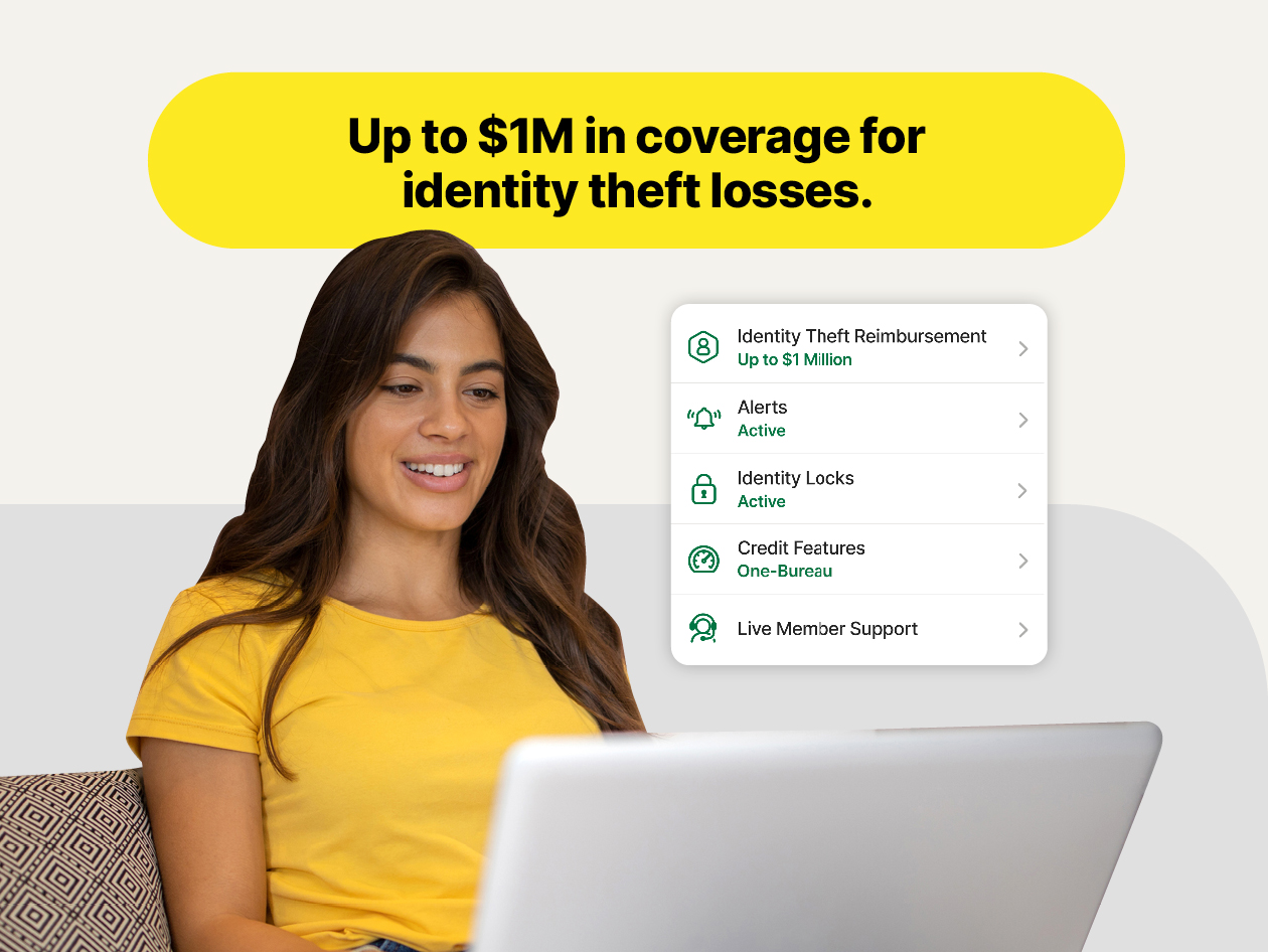 LifeLock Core Identity Theft Protection (1 Adult/15 Month Subscription)