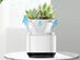 Desktop Air Purifier with Planter