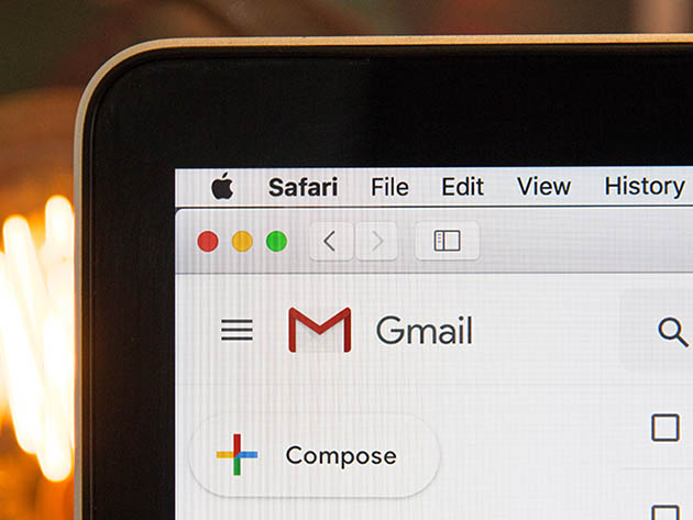 MailChimp Email & Text Marketing for Your Business and Brand