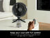 Shark FlexBreeze™ Indoor & Outdoor Pedestal & Table Fan with Cover (Refurbished)