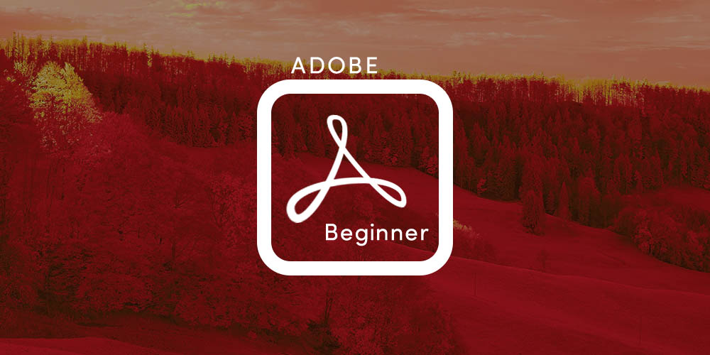 Adobe Acrobat Pro DC (Beginner)