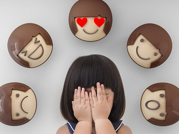 An Introduction to Emotional Intelligence