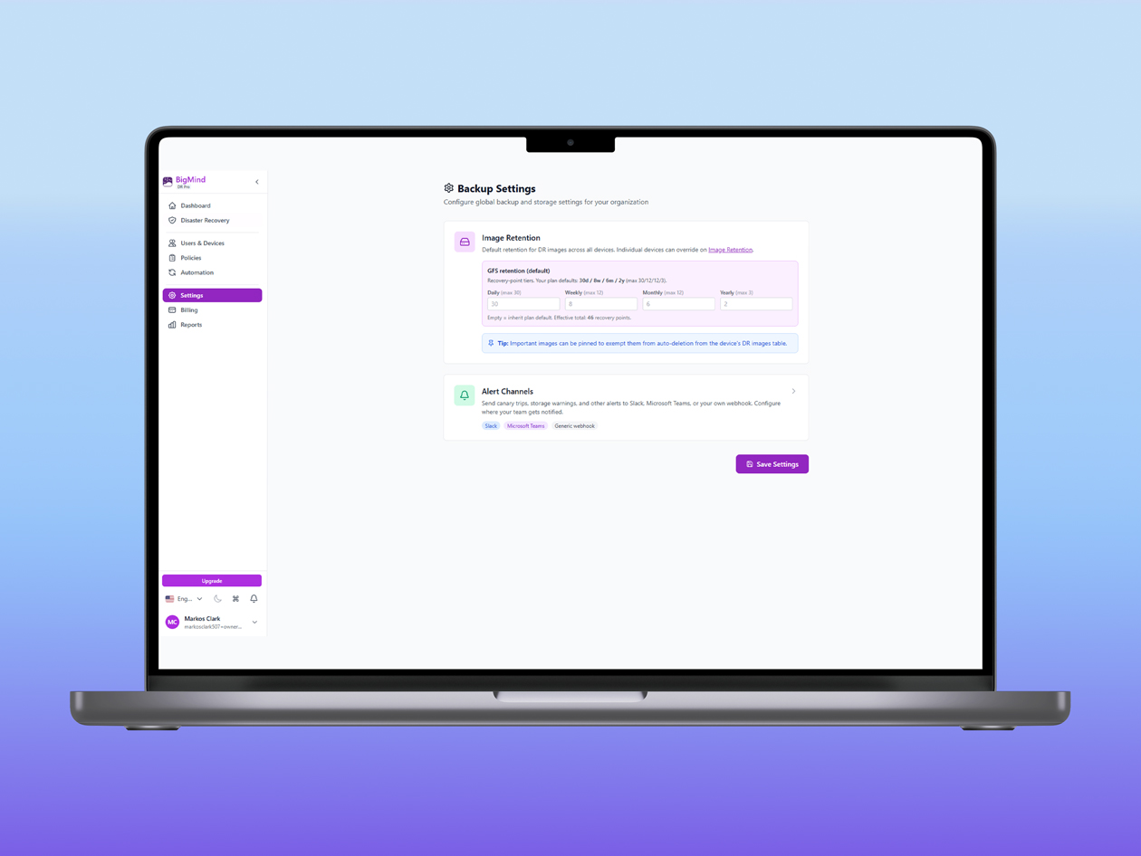 BigMind Disaster Recovery Plus Plan: Lifetime Subscription
