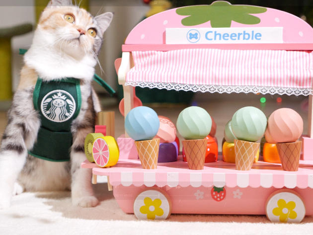 Cheerble Ice Cream Ball Smart Interactive Cat Toy for Indoor Cats & Kittens (Strawberry Pink)