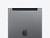 Apple iPad (2019) 10.2" 7th Gen 32GB Wi-Fi & Cellular Space Gray (Refurbished)