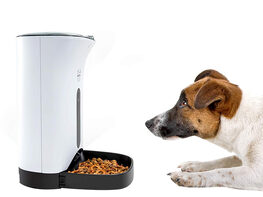 Arf Pets Automatic Pet Feeder Food Dispenser for Dogs & Cats
