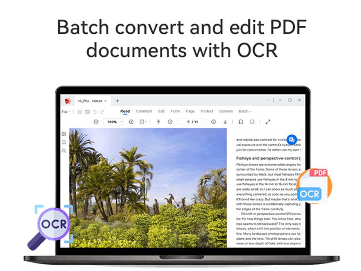 AcePDF Converter & Editor: Lifetime License