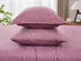 Kathy Ireland 4 Piece Heathered Jersey Knit Cotton Sheet Set (King/Rose)