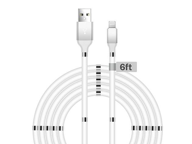 Aduro Fidget Magnetic Self-Winding Lightning Cable (6Ft/White)