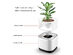 Desktop Air Purifier with Planter