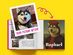 If Famous Artists Painted Your Pet - Personalized Book Hardcover (Redemption Voucher)
