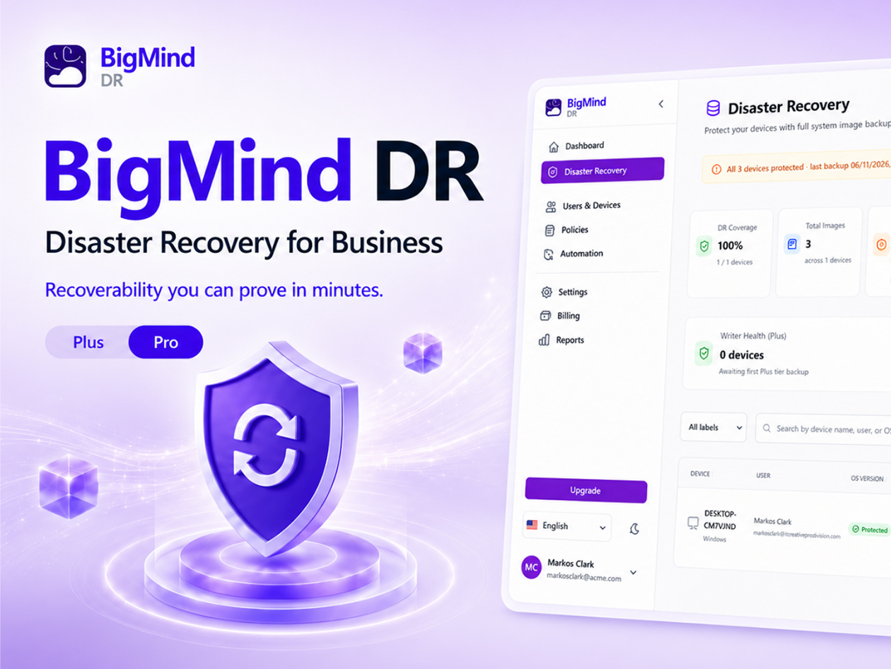 BigMind Disaster Recovery Pro Plan: Lifetime Subscription
