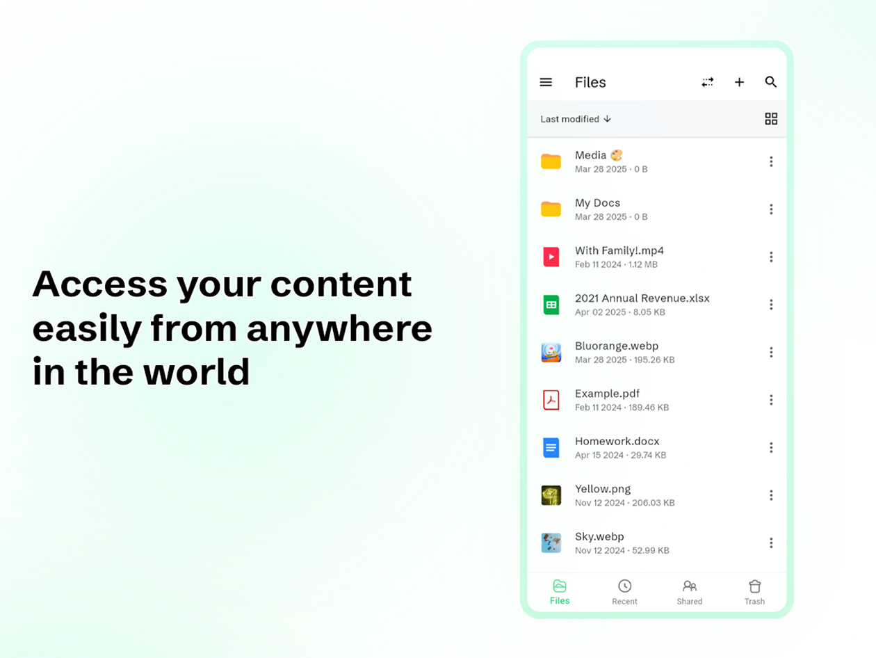 Drime Secure Cloud Storage: Lifetime Subscription (Professional Plan/3TB)
