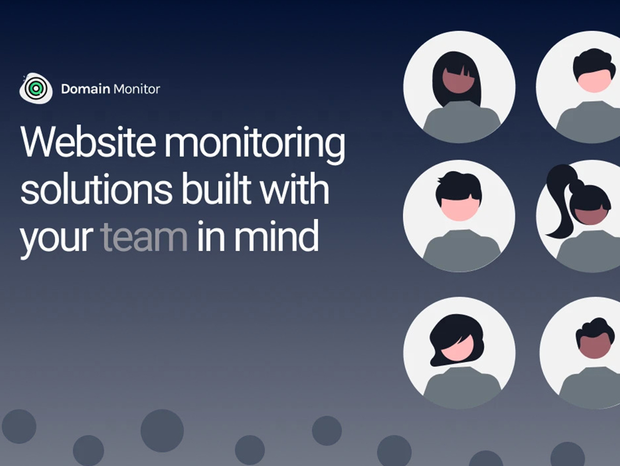 Domain Monitor Pro Plan: Lifetime Subscription