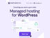 Hostinger Web Hosting for Managed WordPress: (Business/ 1 Year Subscription)