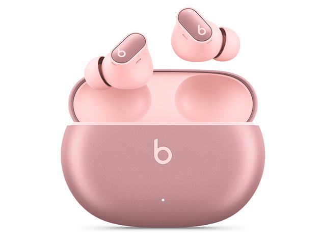Beats Studio Buds+ True Wireless Noise Cancelling Earbuds  (Open Box)